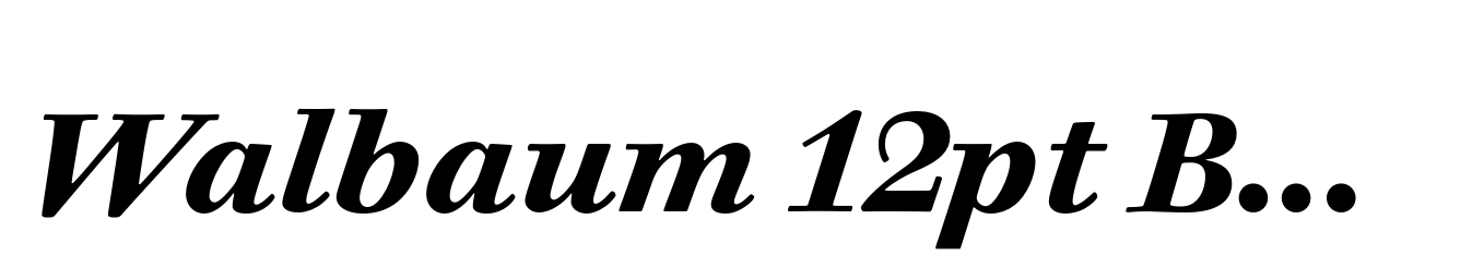 Walbaum 12pt Bold Italic